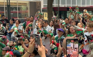 VIDEO: reunión de perritos chihuahuas invade la embajada británica; se viraliza en redes 