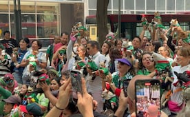 VIDEO: reunión de perritos chihuahuas invade la embajada británica; se viraliza en redes
