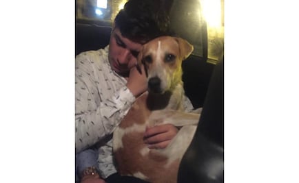 VIDEO. Joven adopta a un perro al salir del antro en Veracruz