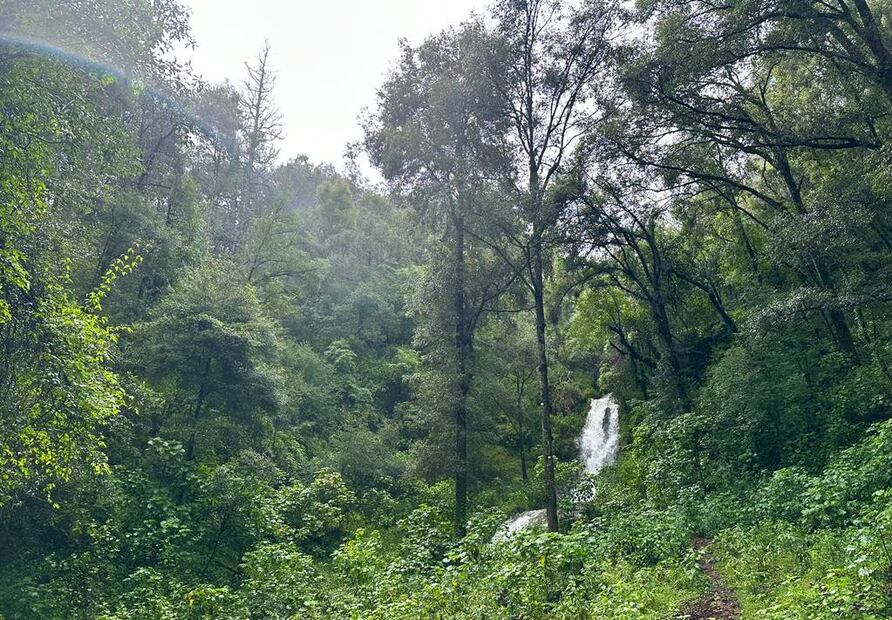 Foto: Omar Moreno. El Universal