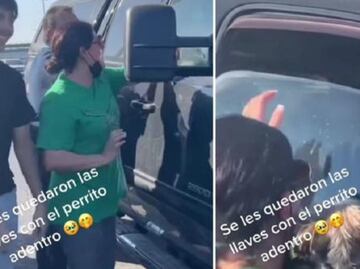 Perro queda encerrado en un carro y gracias a su habilidad se salva