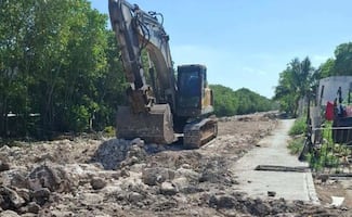 Vecinos denuncian tala de manglar en Progreso, Yucatán; piden investigar presunto daño ambiental