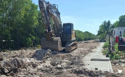 Vecinos denuncian tala de manglar en Progreso, Yucatán; piden investigar presunto daño ambiental