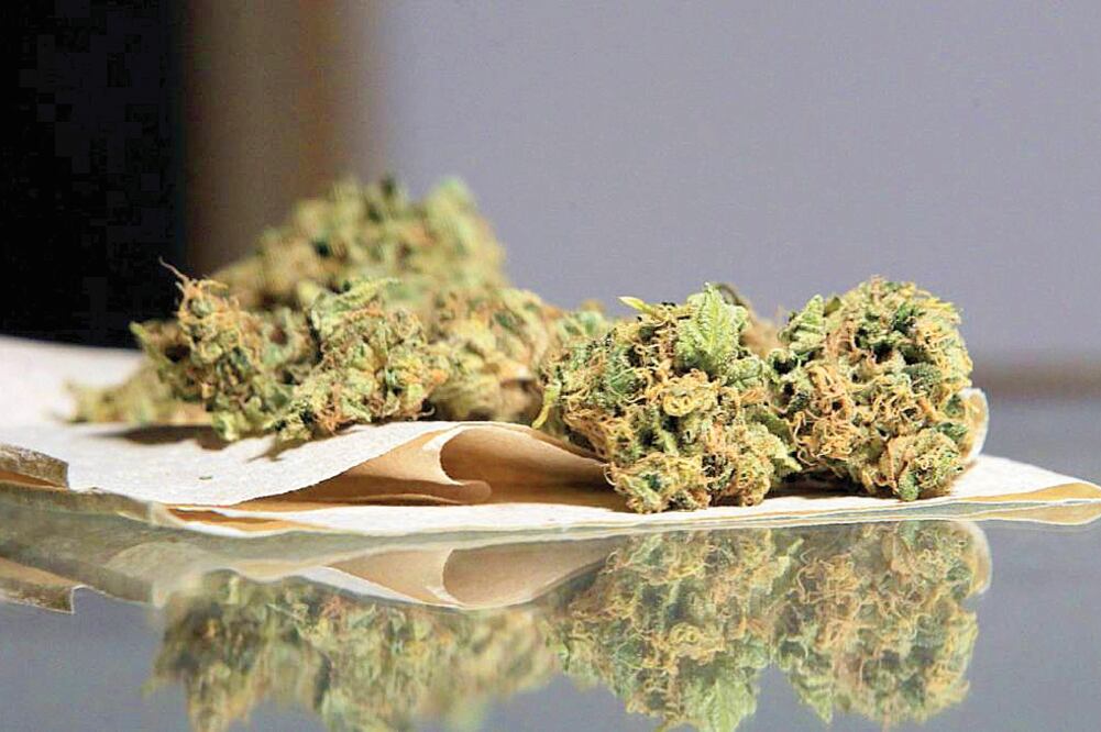 Legalidad. Con la notificación del Juzgado de Distrito, los cuatro yucatecos ya cuentan con el permiso para consumir cannabis. (ESPECIAL)