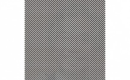 Ilusión óptica: ¿Puedes ver el retrato oculto de esta persona?