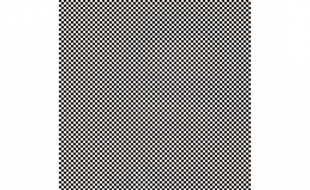 Ilusión óptica: ¿Puedes ver el retrato oculto de esta persona?