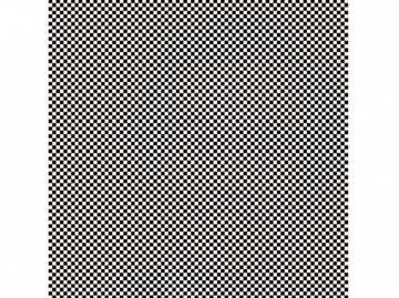 Ilusión óptica: ¿Puedes ver el retrato oculto de esta persona?