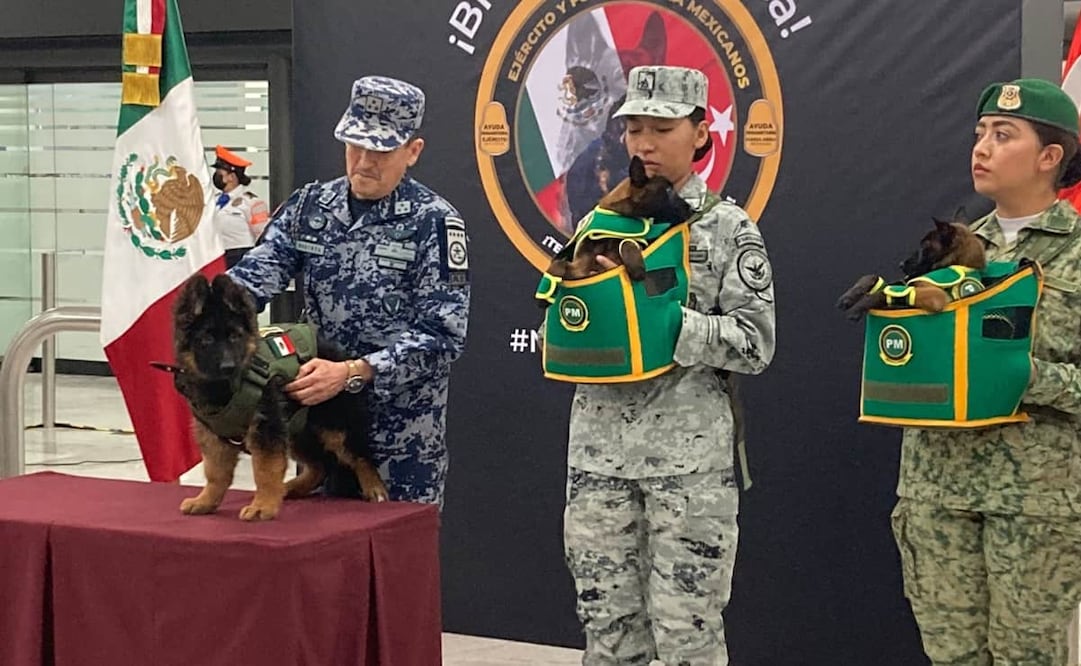 Por medio de Facebook, la Secretaría de la Defensa Nacional compartió la ruta que tomó el avión que trasladaba al lomito a la Ciudad de México a través del sitio flightradar24. Foto: Captura de video