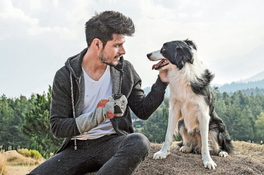 La cinta reúne a un perro abandonado con un joven vagabundo (CORTESÍA)