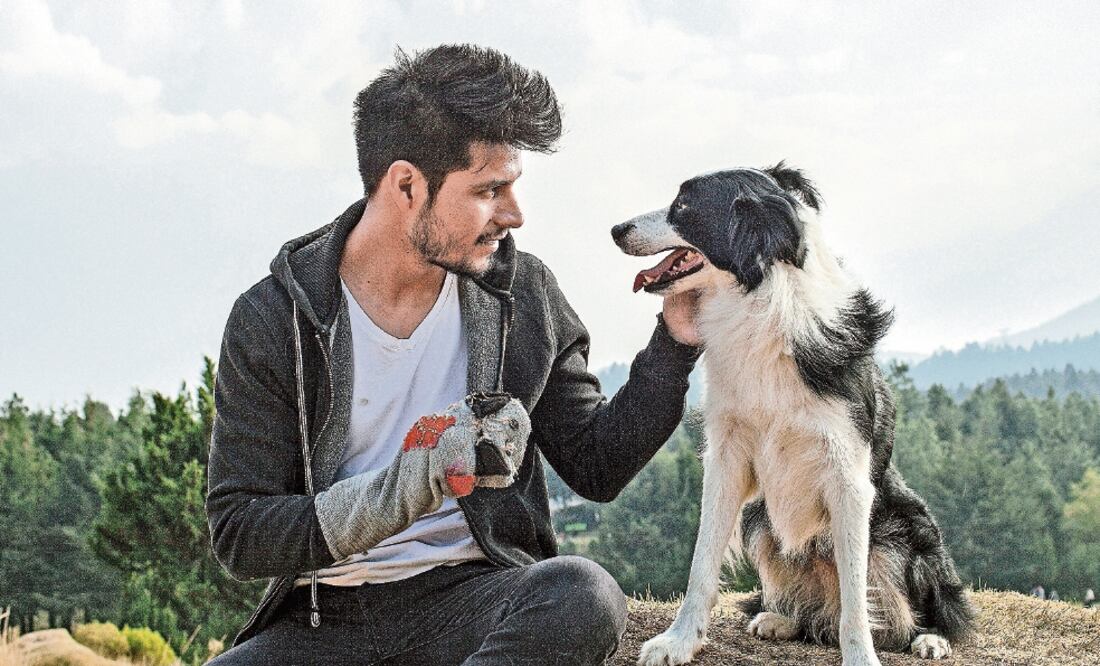 La cinta reúne a un perro abandonado con un joven vagabundo (CORTESÍA)