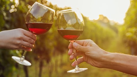¿Por qué el vino tinto puede ser bueno para tus intestinos?