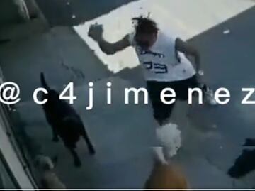 En video, captan a sujeto que golpea con una piedra a lomito en Ecatepec