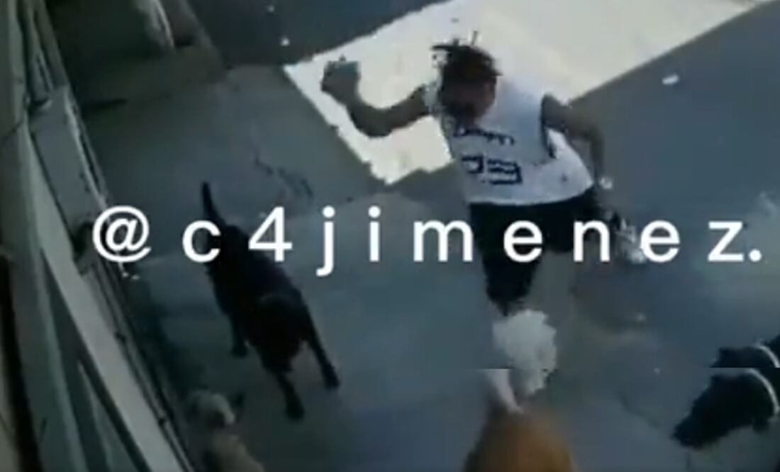 Se observa que el cachorrito es agredido sin motivo. Foto: Tomada de video