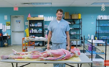 Crean cadáveres humanos sintéticos para investigación médica