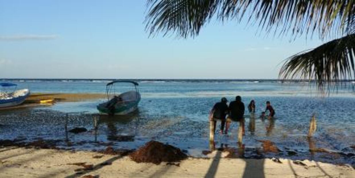 Miguel Torruco lanza S.O.S. por arribo masivo de sargazo en Quintana Roo
