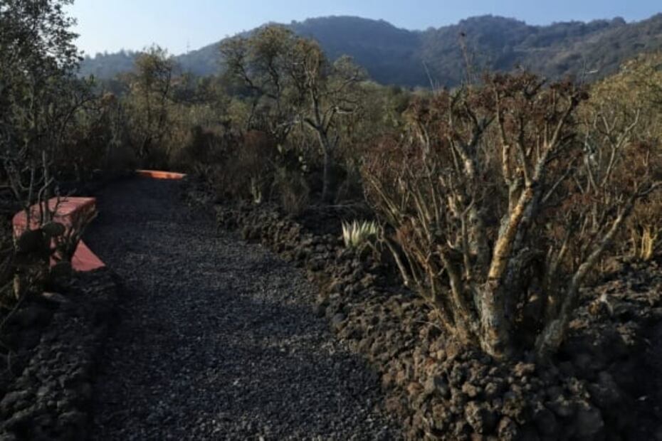 Qué hacer en el Parque Ecológico de la Ciudad de México