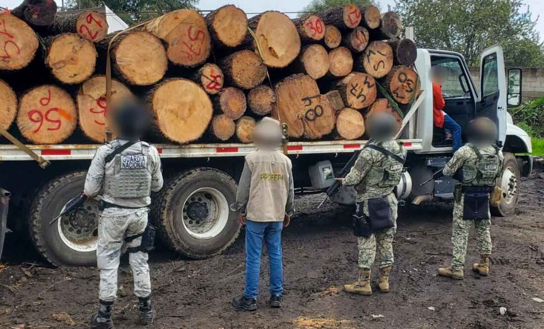 Profepa y Guardia Nacional desmantelan aserradero ilegal en Morelos el pasado viernes 5 de septiembre de 2025. Foto: Profepa