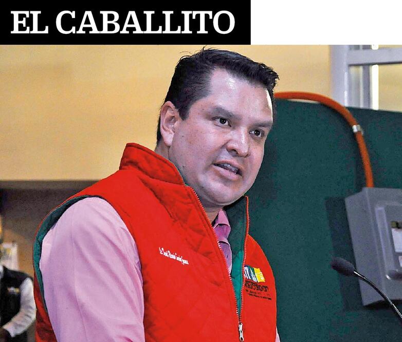 El alcalde de Naucalpan y la estrategia de Elba Esther