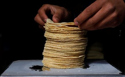 La UNAM desarrolla una tortilla contra la obesidad