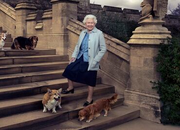 Reina Isabel II, de luto por la muerte de Willow, su "fiel compañero" canino