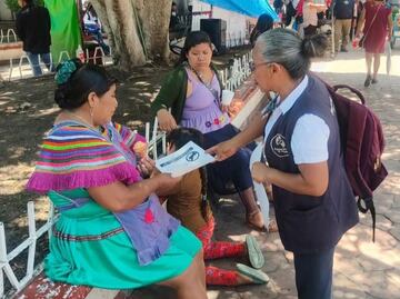 En dos meses, Chiapas ha registrado 15 casos del gusano barrenador en humanos; 4 pacientes permanecen hospitalizados