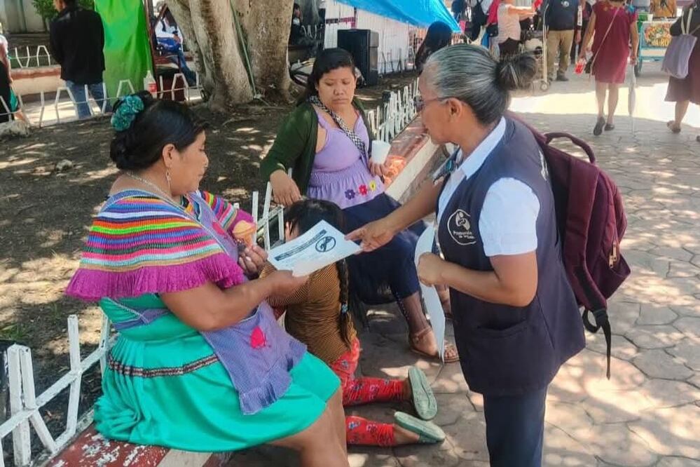Chiapas ha registrado 15 casos de gusano barrenador en humanos en menos de dos meses. (Foto: especial)
