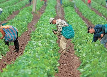 Divide opiniones visita a la Casa Blanca