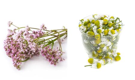 5 infusiones para calmar los nervios