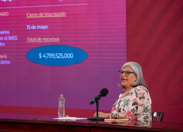 Programa de apoyos financieros trajo otra pandemia, los fraudes: Economía