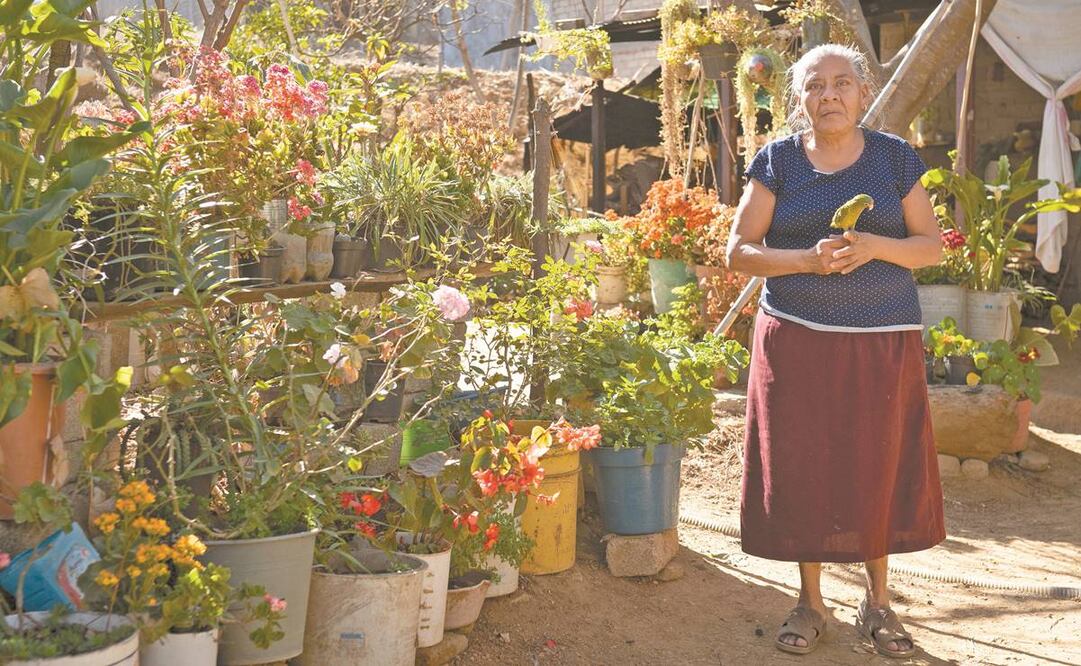 Adultos mayores, suplencia de la queja en amparo por falta de copias