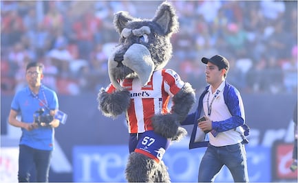 Atlético de San Luis presenta a 'Lucho', su mascota para incentivar la adopción
