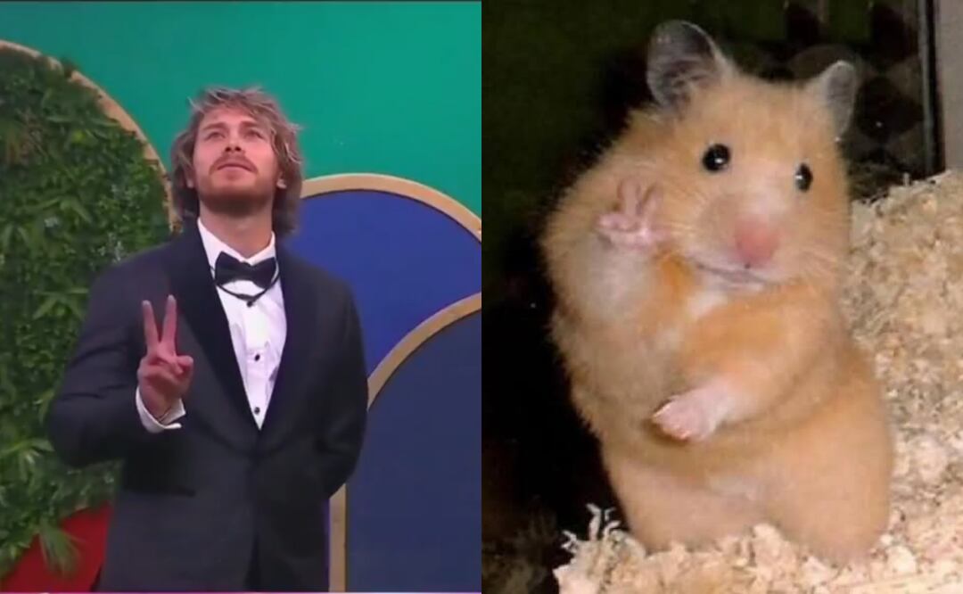 Los mejores memes que dejó la tercera noche de eliminación de La Casa de Los Famosos 2025. Foto: X