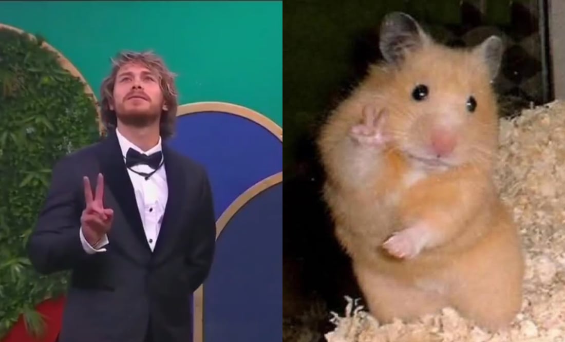 Los mejores memes que dejó la tercera noche de eliminación de La Casa de Los Famosos 2025. Foto: X