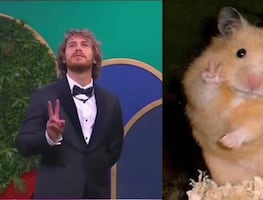 ¡Ninel Conde fuera de La Casa de los Famosos 3! Los memes más divertidos que explotaron en redes sociales