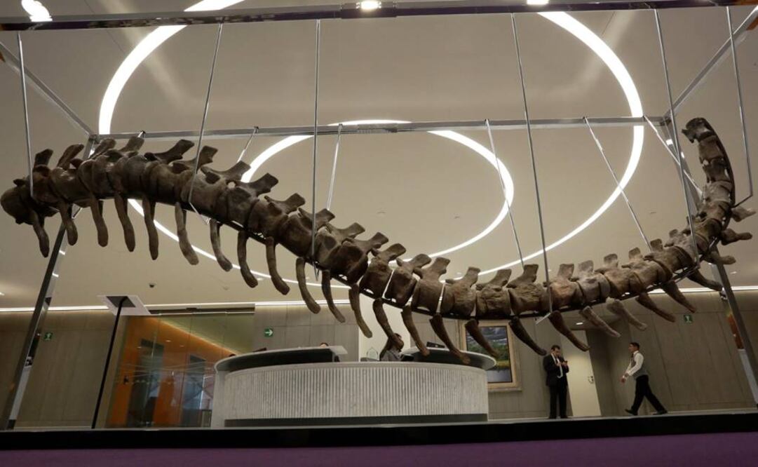 FOTO: REUTERS/Daniel Becerril.