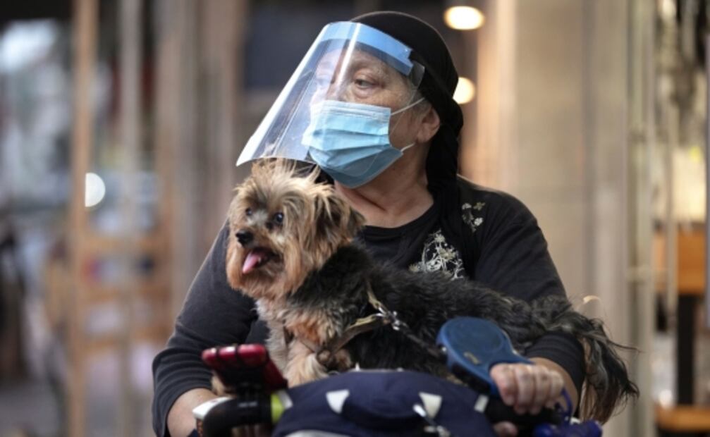 Golpes de calor en primavera también afectan a tus mascotas
