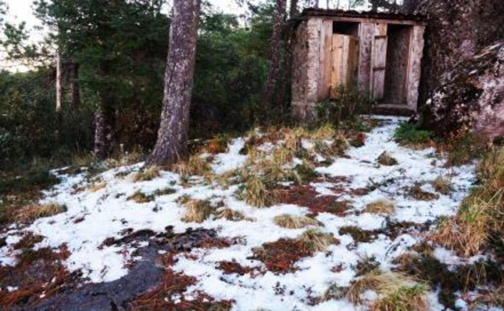 Heladas "paralizan" Sierra de Oaxaca  