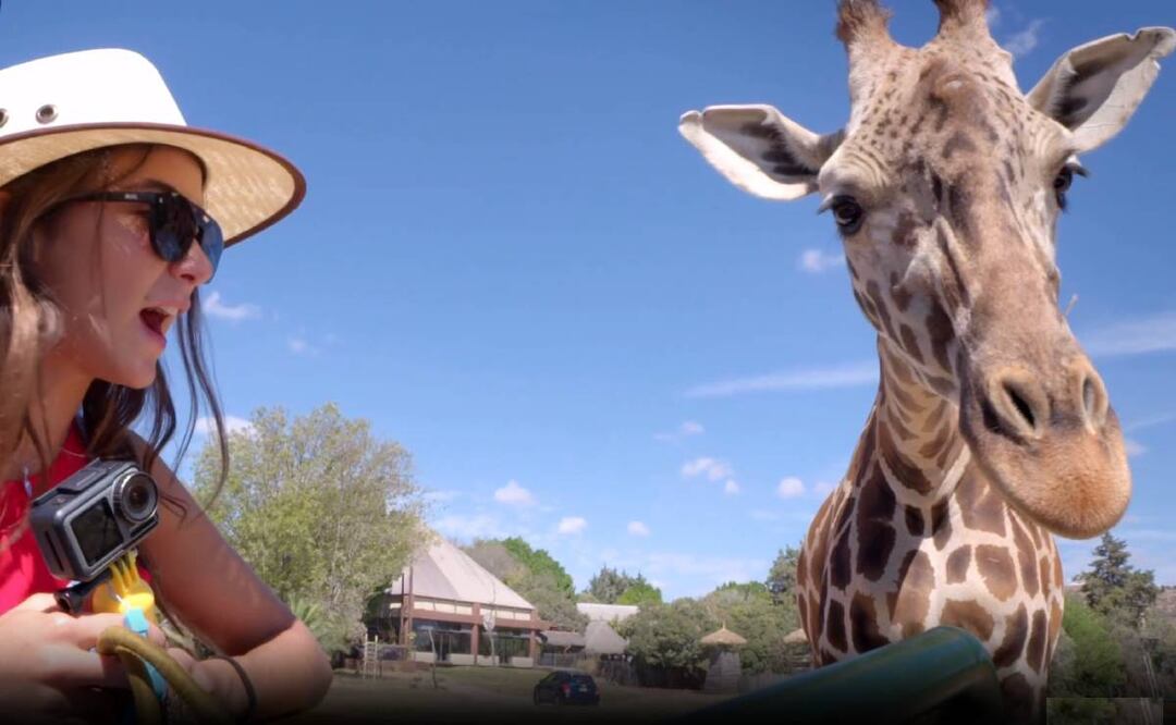 Foto: Tomada de Africam Safari