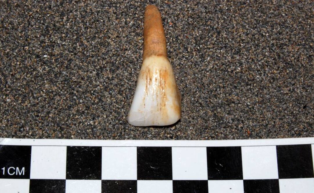 FOTO: Cortesía INAH