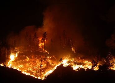 Muere bombero que combatía incendios forestales en Chile