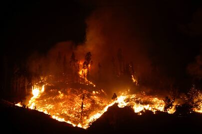 Muere bombero que combatía incendios forestales en Chile