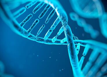 Estudio demuestra que una proteína repara ADN de células tumorales