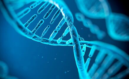 Estudio demuestra que una proteína repara ADN de células tumorales