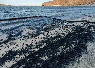 Daño ecológico: cierran por derrame playa Balandra, área natural protegida e imán de turistas en La Paz, BCS