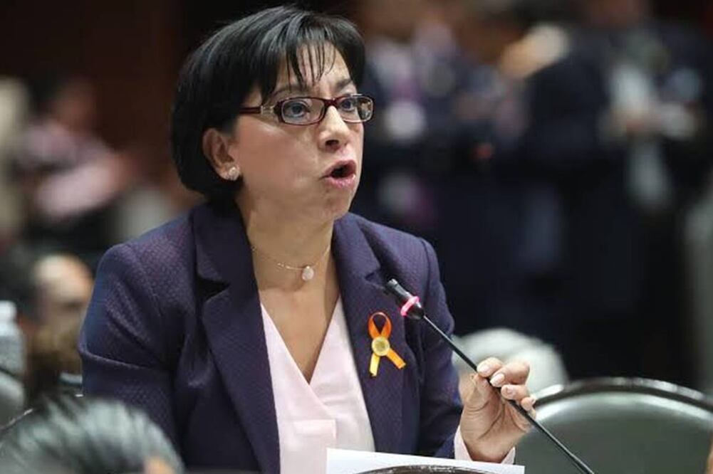 La diputada federal por Morena, Beatriz Rojas Martínez. Foto: Especial