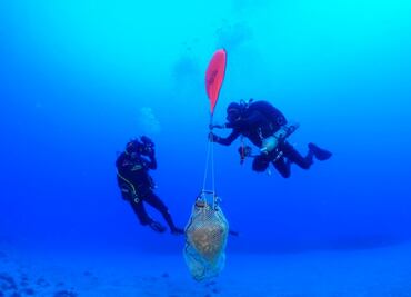 Arqueólogos encuentran vasijas en los restos de un naufragio que data entre el siglo II y III