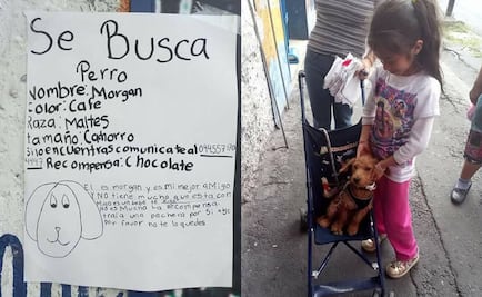 Perdió a su perro, hizo un cartel y su cachorro volvió