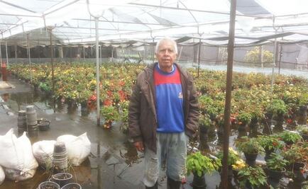 Historia. Se quedan sin flores para Día de Muertos y Navidad