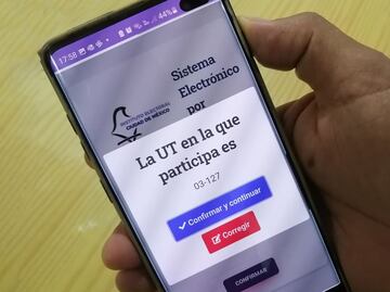 Desde hoy los capitalinos podrán votar de manera anticipada en la consulta de presupuesto participativo 2025; así se puede realizar