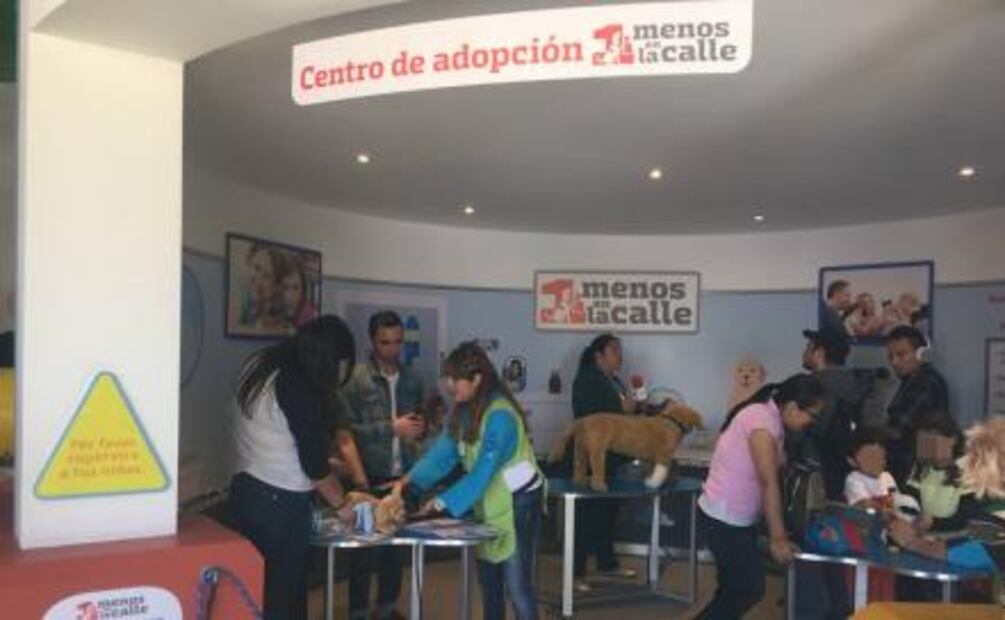 "Uno menos en la calle" busca concientizar sobre adopción de perros y gatos